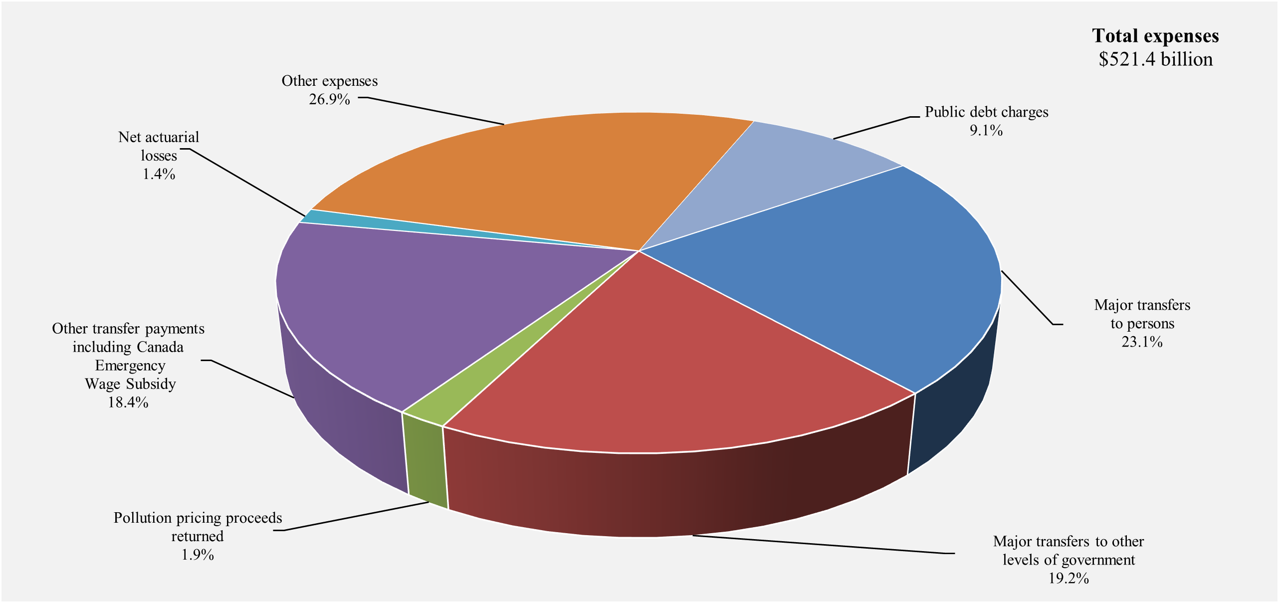 Composition of expenses for 2024. Refer to the text description following the image.